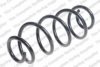 ROC CS8104 Coil Spring